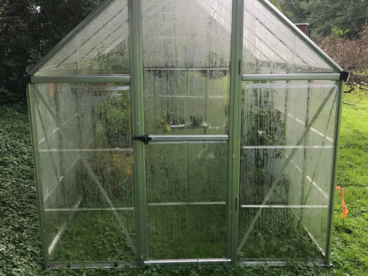 DIYDS: New Greenhouse, Who Dis?